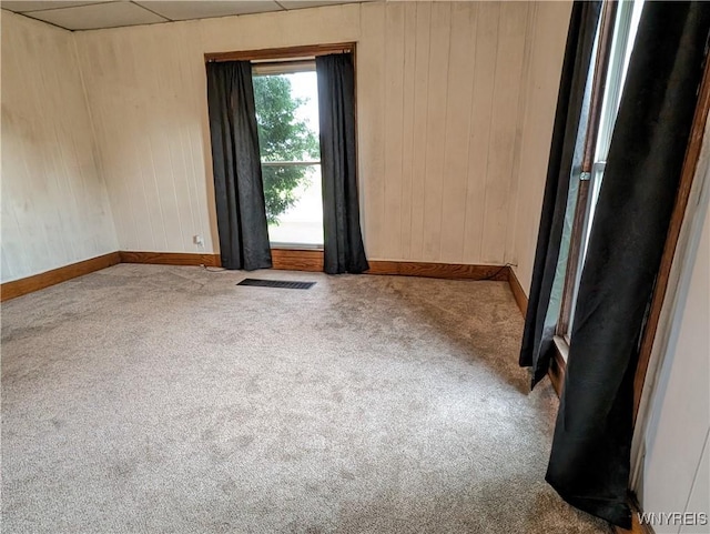 11131 Lakeshore Rd, Yates, NY 14098 - carpeted empty room with baseboards and wooden walls