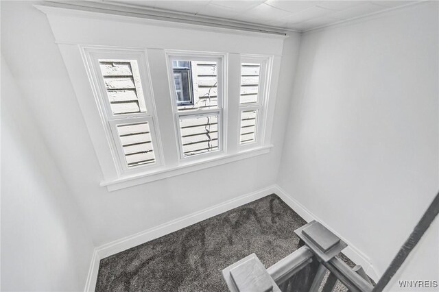 322 Voorhees Ave, Buffalo, NY 14216 - photo 28