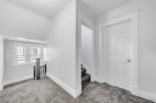 322 Voorhees Ave, Buffalo, NY 14216 - photo 29