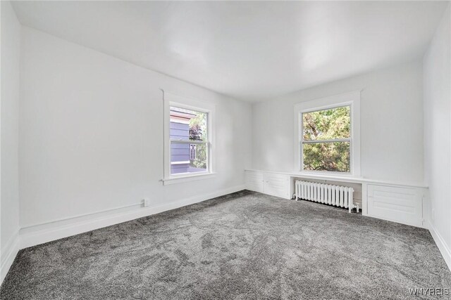 322 Voorhees Ave, Buffalo, NY 14216 - photo 32