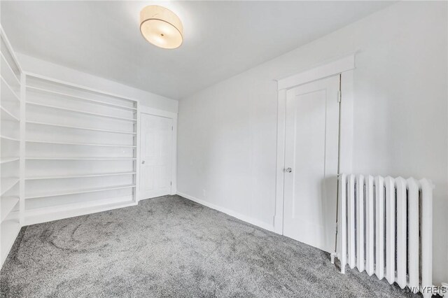 322 Voorhees Ave, Buffalo, NY 14216 - photo 35