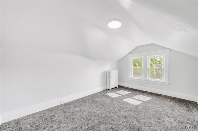 322 Voorhees Ave, Buffalo, NY 14216 - photo 44