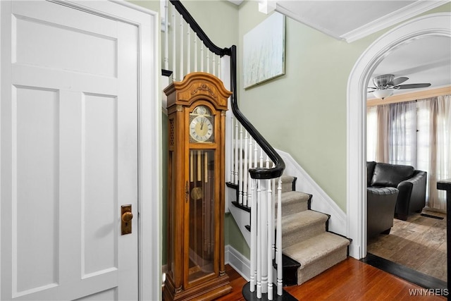 50 Windsor Ave, Buffalo, NY 14209 - photo 16
