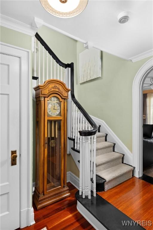50 Windsor Ave, Buffalo, NY 14209 - photo 24