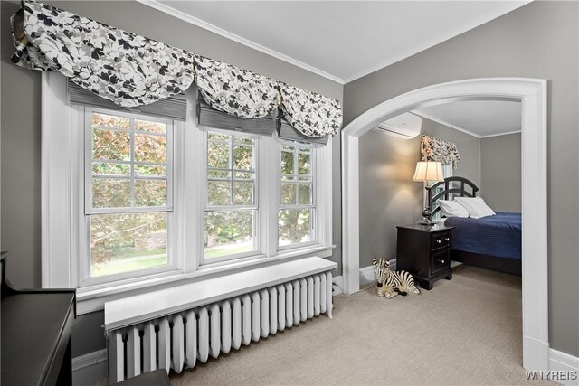 50 Windsor Ave, Buffalo, NY 14209 - photo 29