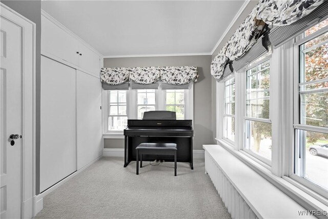50 Windsor Ave, Buffalo, NY 14209 - photo 30
