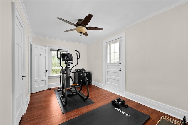 50 Windsor Ave, Buffalo, NY 14209 - photo 33