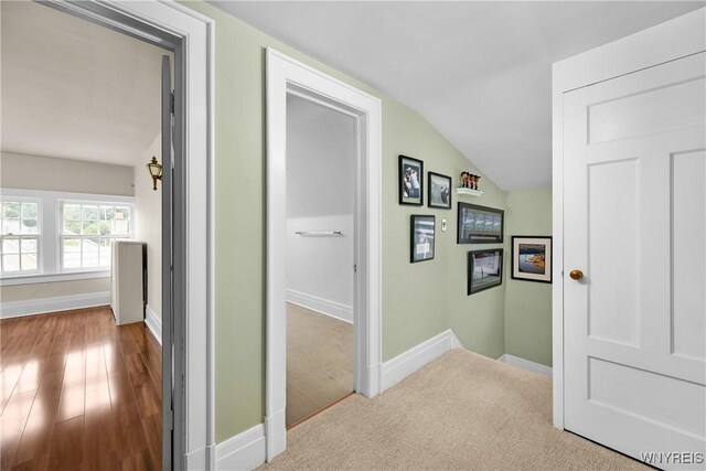 50 Windsor Ave, Buffalo, NY 14209 - photo 34