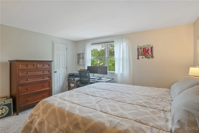 4330 Cinnamon Path, Clay, NY 13090 - bedroom with carpet