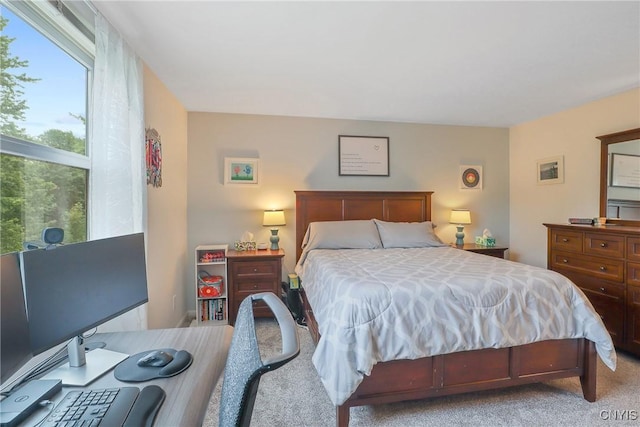 4330 Cinnamon Path, Clay, NY 13090 - view of carpeted bedroom