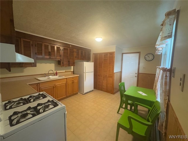 113 Hamilton St, Buffalo, NY 14207 - kitchen with white appliances, range hood, light floors, a wainscoted wall, and light countertops