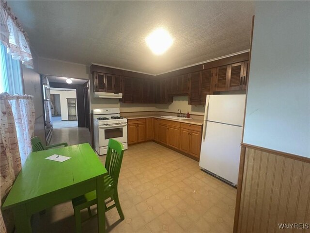 113 Hamilton St, Buffalo, NY 14207 - kitchen with white appliances, under cabinet range hood, light flooring, ornamental molding, and light countertops
