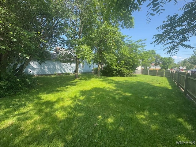 113 Hamilton St, Buffalo, NY 14207 - view of fenced backyard