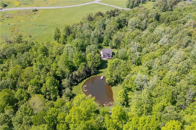282 Hillys Ln, Middletown, NY 12459 - photo 31