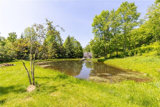 282 Hillys Ln, Middletown, NY 12459 - photo 33