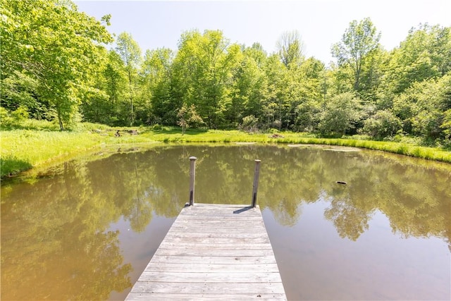 282 Hillys Ln, Middletown, NY 12459 - photo 6