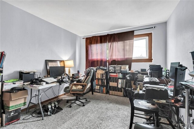 88 Rugby Rd, Buffalo, NY 14216 - office area featuring carpet