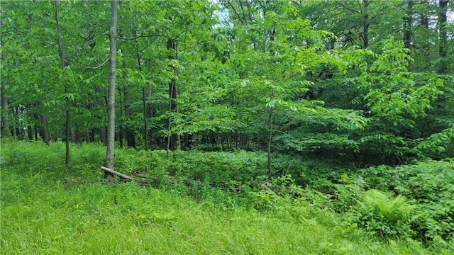 0 Nunda-Byersville Rd, West Sparta, NY 14437 - photo 10