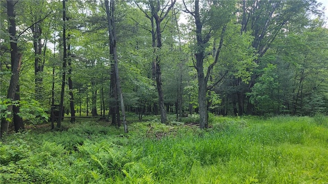 0 Nunda-Byersville Rd, West Sparta, NY 14437 - photo 11