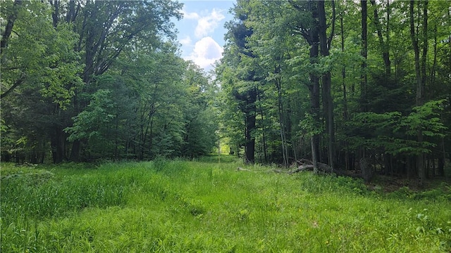 0 Nunda-Byersville Rd, West Sparta, NY 14437 - photo 12