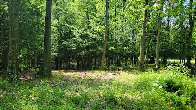 0 Nunda-Byersville Rd, West Sparta, NY 14437 - photo 13