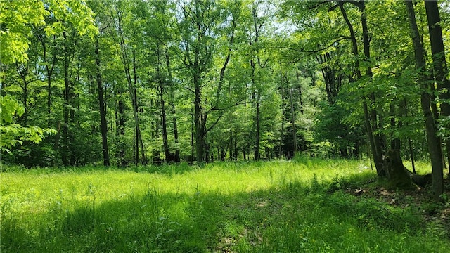 0 Nunda-Byersville Rd, West Sparta, NY 14437 - photo 14