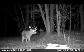 0 Nunda-Byersville Rd, West Sparta, NY 14437 - photo 15