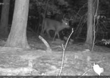 0 Nunda-Byersville Rd, West Sparta, NY 14437 - photo 16