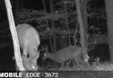 0 Nunda-Byersville Rd, West Sparta, NY 14437 - photo 17