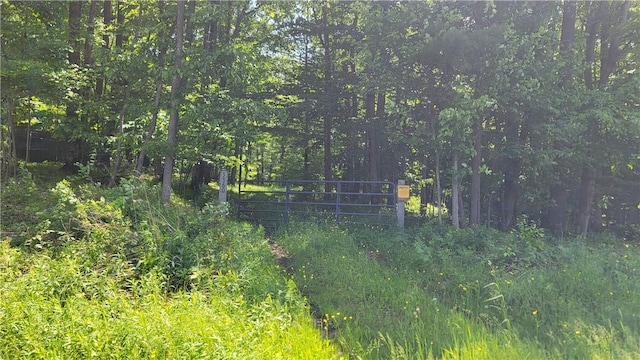 0 Nunda-Byersville Rd, West Sparta, NY 14437 - photo 1