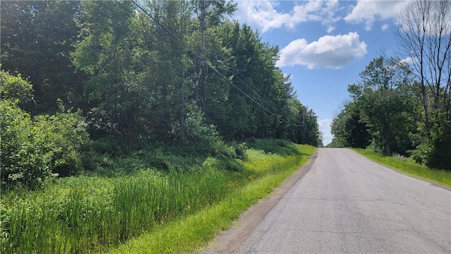 0 Nunda-Byersville Rd, West Sparta, NY 14437 - photo 2