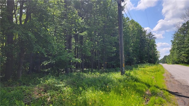 0 Nunda-Byersville Rd, West Sparta, NY 14437 - photo 4