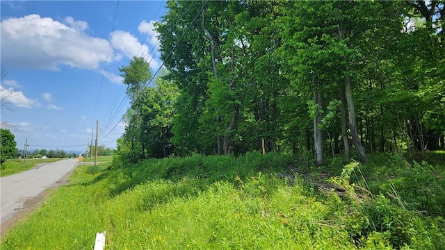 0 Nunda-Byersville Rd, West Sparta, NY 14437 - photo 5