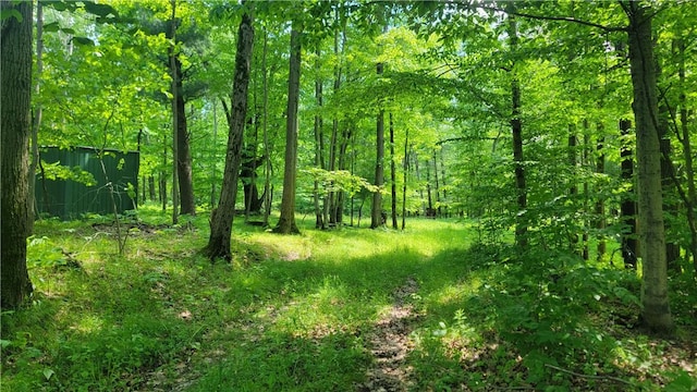 0 Nunda-Byersville Rd, West Sparta, NY 14437 - photo 6