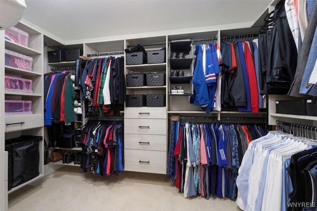 61 Hidden Ridge Cmn, Amherst, NY 14221 - spacious closet featuring carpet flooring