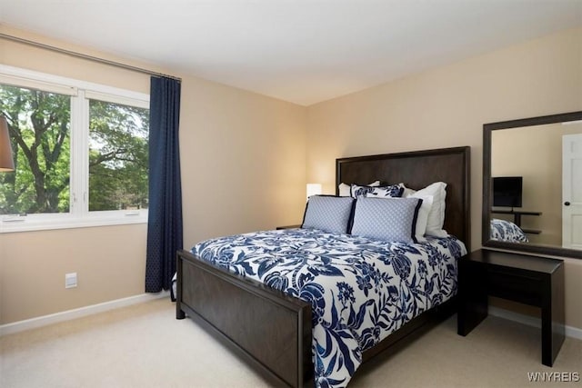 61 Hidden Ridge Cmn, Amherst, NY 14221 - bedroom with carpet flooring and baseboards
