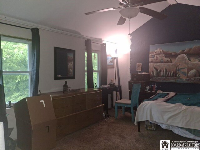 10344 Main St, Mina, NY 14736 - photo 13