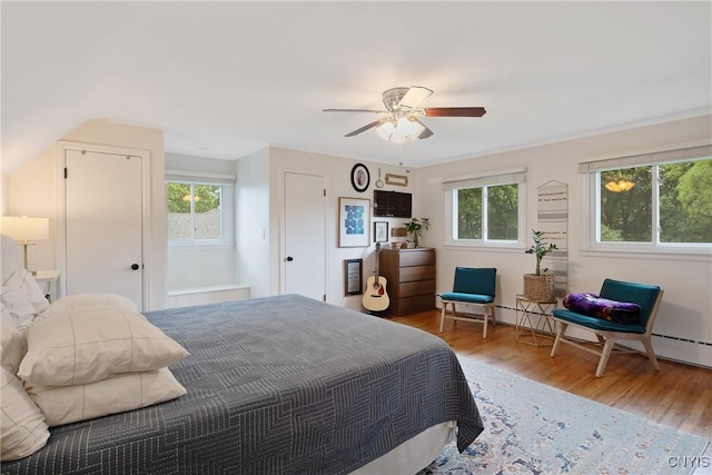 2304 Euclid Ave, Syracuse, NY 13224 - bedroom featuring multiple windows, wood finished floors, and a ceiling fan