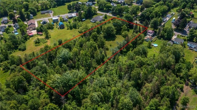 7084 Versailles Rd, Evans, NY 14047 - photo 10