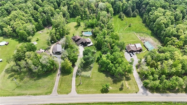 12261 Transit Line Rd, Concord, NY 14141 - drone / aerial view