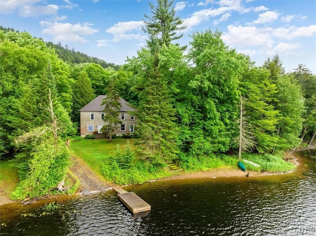 175 S Rondaxe Rd, Webb, NY 13420 - dock featuring a water view and a view of trees