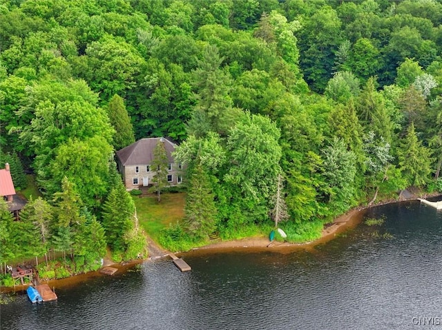 175 S Rondaxe Rd, Webb, NY 13420 - view of subject property featuring a nearby body of water and a heavily wooded area