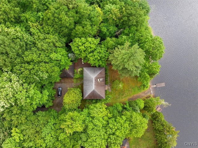 175 S Rondaxe Rd, Webb, NY 13420 - aerial view