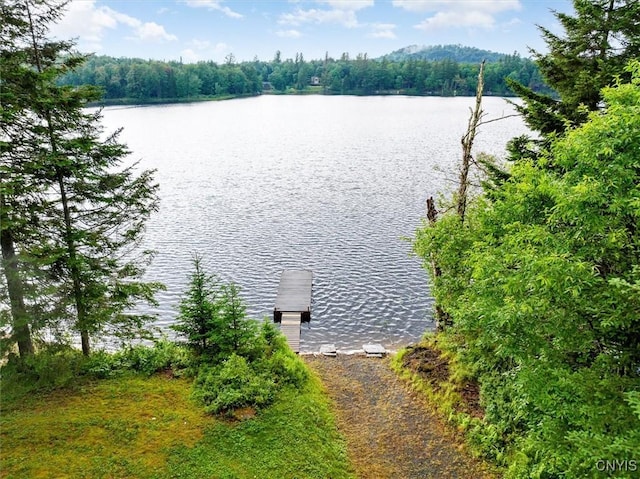 175 S Rondaxe Rd, Webb, NY 13420 - water view