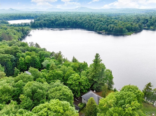 175 S Rondaxe Rd, Webb, NY 13420 - aerial view of a large body of water