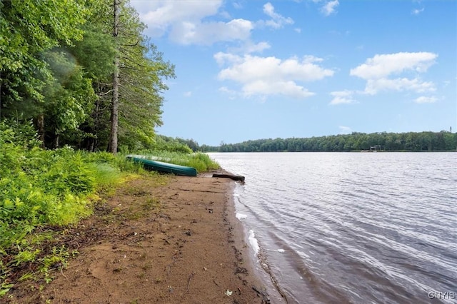175 S Rondaxe Rd, Webb, NY 13420 - water view with a forest