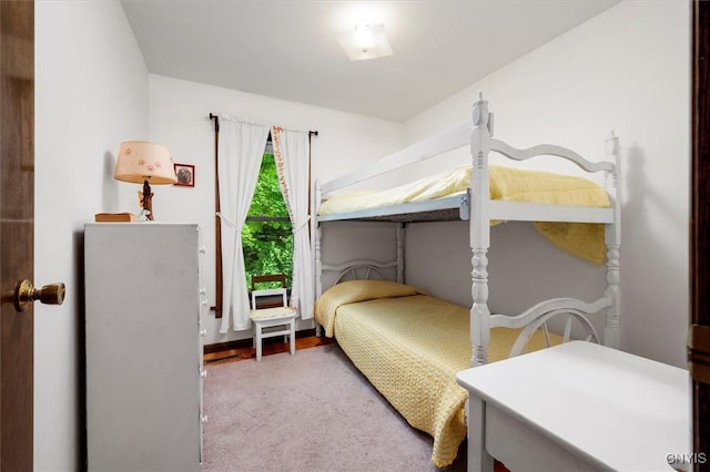 175 S Rondaxe Rd, Webb, NY 13420 - view of carpeted bedroom