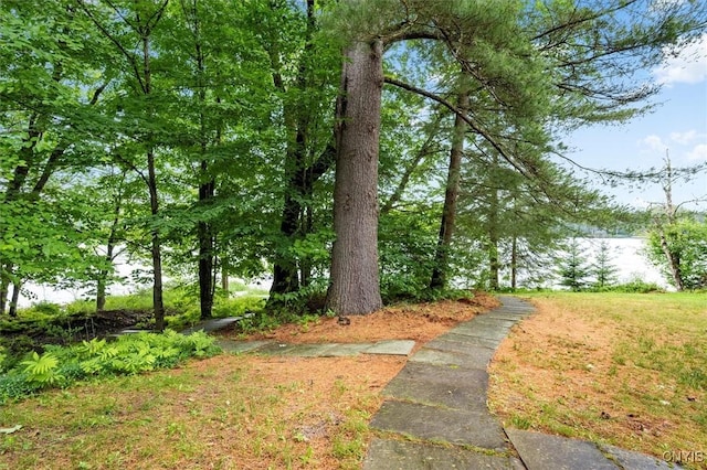 175 S Rondaxe Rd, Webb, NY 13420 - view of yard