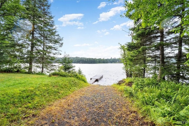 175 S Rondaxe Rd, Webb, NY 13420 - water view with a dock