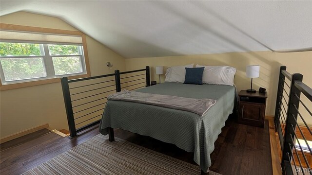 6234 Reservoir Rd, Lebanon, NY 13346 - bedroom with dark wood-style floors and vaulted ceiling